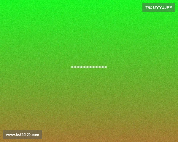 鲤城区委锚定创新驱动持续赋能打造高质量发展新引擎